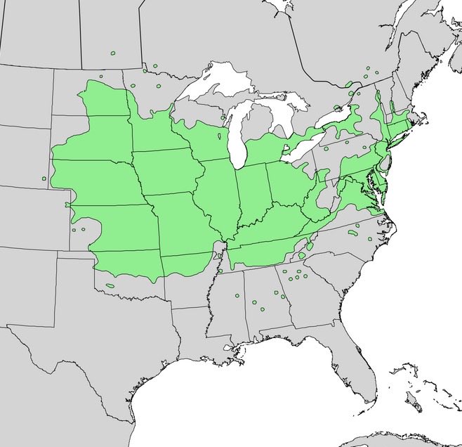 BuffaloByGodDan's tweet photo. Know your state’s Hackberry range. https://t.co/gxR2ebhr0s