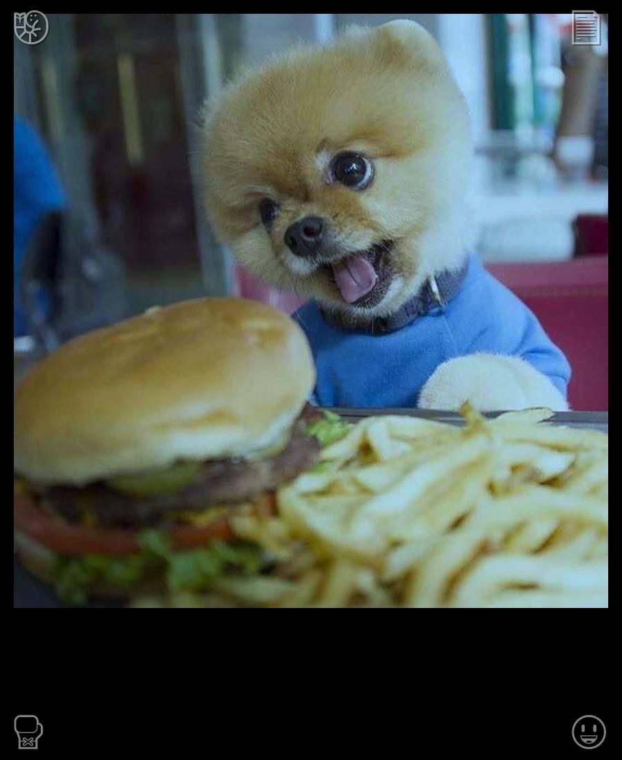 烤红薯爱好者不可错过的美味！这种口感简直令人无比满足。