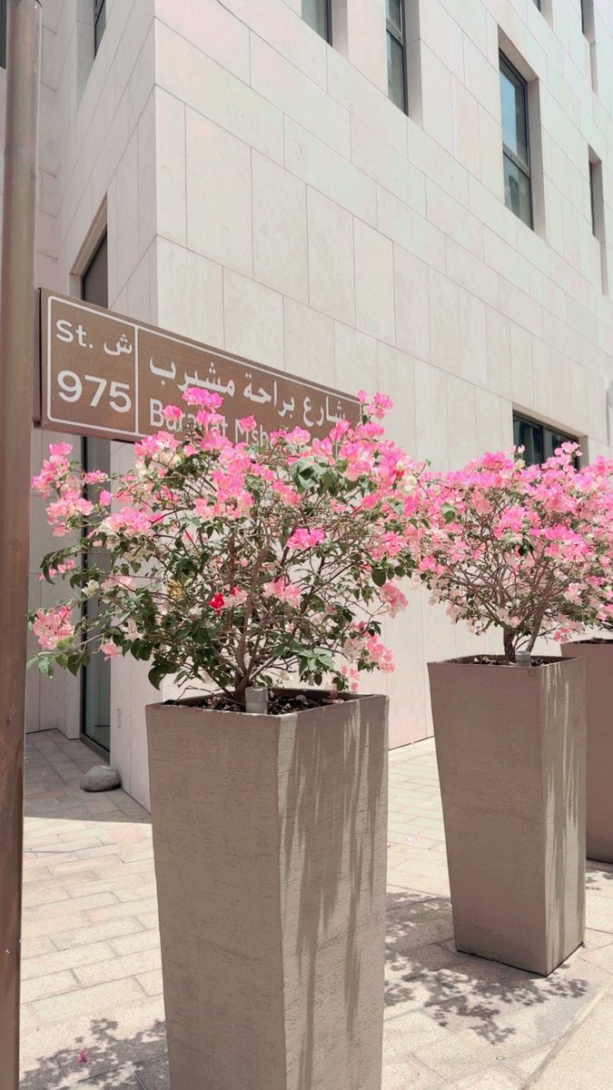 QaGaboos tweet picture