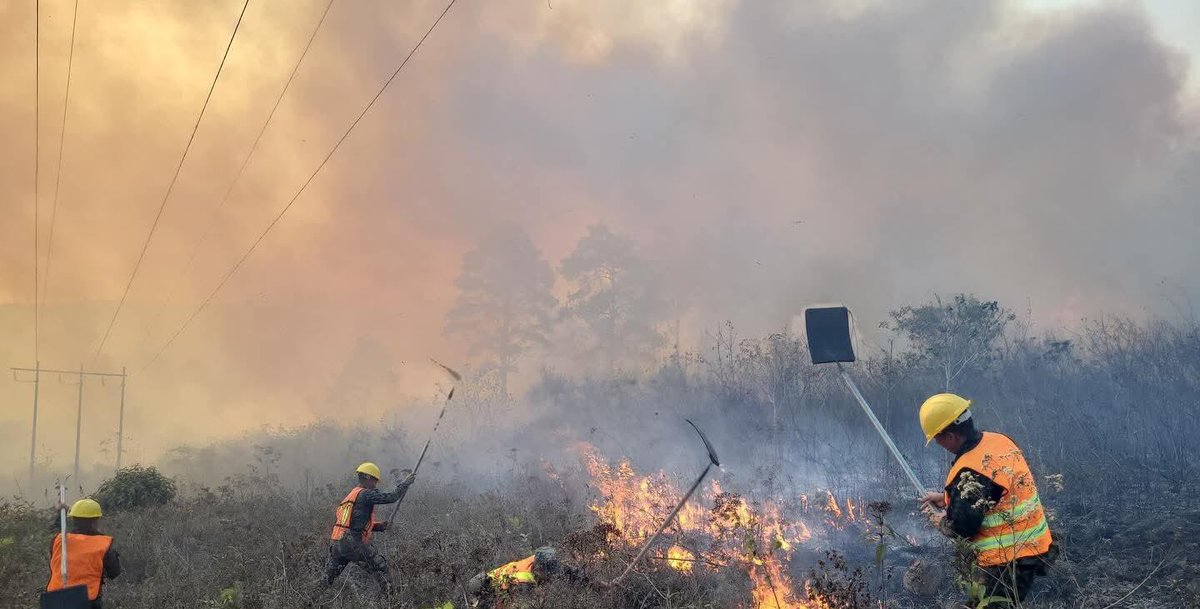 FFAAHN's tweet photo. #CombateDeIncendios || Las #FFAA continúan ejecutando intensas operaciones para el combate y control de incendios forestales registrados en los departamentos de Olancho, Copán y El Paraíso, mediante la intervención de efectivos de la 110 Brigada de Infantería, Séptimo Batallón de Infantería y el Décimo Sexto Batallón de Infantería.
Como resultado de las acciones realizadas, se logró extinguir en su totalidad el incendio forestal en el Cerro Joya Grande, municipio de Gualaco, Olancho y el del sector de Las Vegas, municipio de Corquin en Copán. Asimismo, en la colonia Nueva Esperanza, en Danlí, El Paraíso, las labores de sofocación mantienen un avance del 80% en el control del siniestro.
Los efectivos militares permanecen desplegados en la zona, realizando operaciones de combate y liquidación de puntos calientes, con el objetivo de salvaguardar los recursos naturales y proteger a la población.