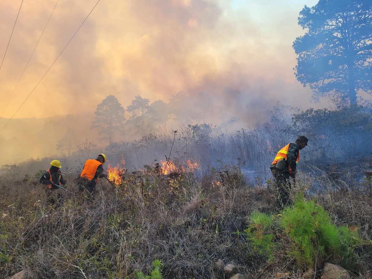 FFAAHN's tweet photo. #CombateDeIncendios || Las #FFAA continúan ejecutando intensas operaciones para el combate y control de incendios forestales registrados en los departamentos de Olancho, Copán y El Paraíso, mediante la intervención de efectivos de la 110 Brigada de Infantería, Séptimo Batallón de Infantería y el Décimo Sexto Batallón de Infantería.
Como resultado de las acciones realizadas, se logró extinguir en su totalidad el incendio forestal en el Cerro Joya Grande, municipio de Gualaco, Olancho y el del sector de Las Vegas, municipio de Corquin en Copán. Asimismo, en la colonia Nueva Esperanza, en Danlí, El Paraíso, las labores de sofocación mantienen un avance del 80% en el control del siniestro.
Los efectivos militares permanecen desplegados en la zona, realizando operaciones de combate y liquidación de puntos calientes, con el objetivo de salvaguardar los recursos naturales y proteger a la población.