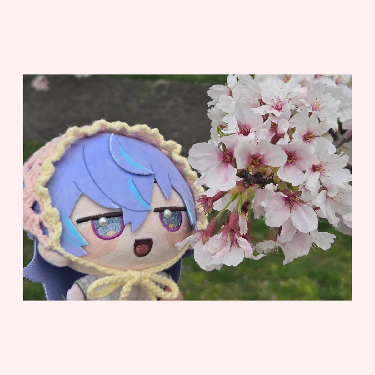 チ゜固定に🗝&🦋 tweet media