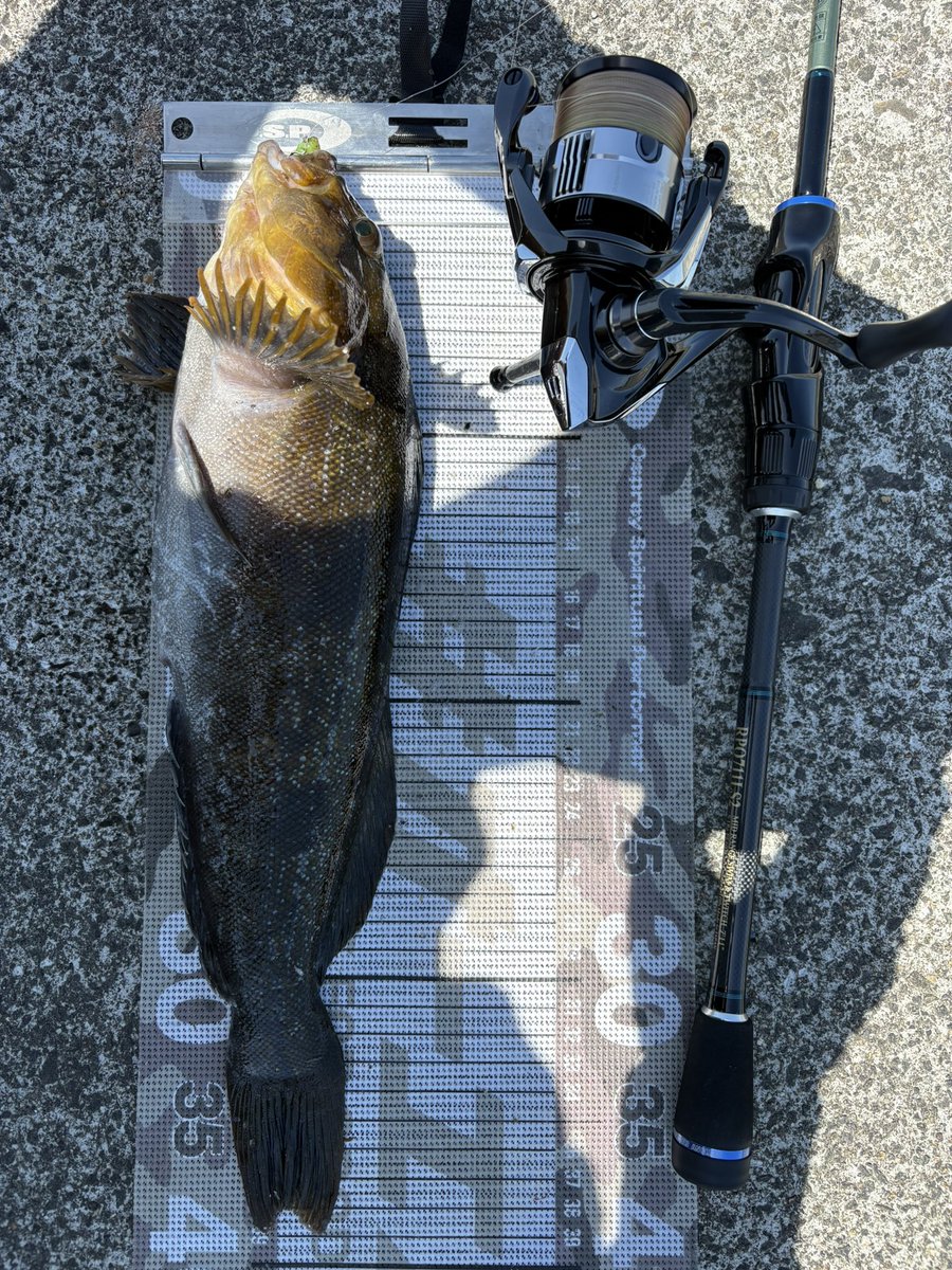 今日はホーム🐤でライトロック🎣 シンカーを7g→14g→10gと変え深場の
