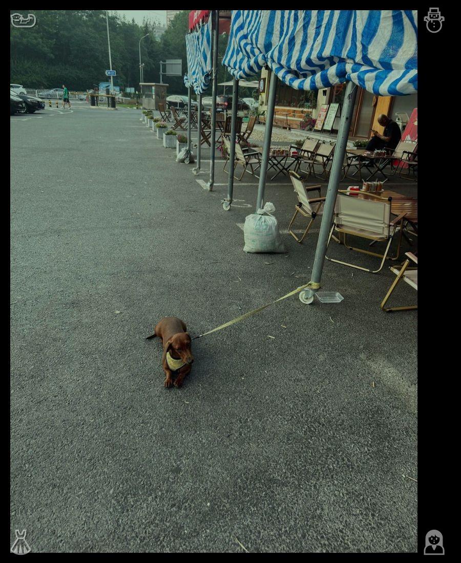 marissamichael0's tweet photo. 生活真的不容易，不过冰淇淋既辣又让人满足，这种感觉太棒了。 https://t.co/JcwEgZQmeR