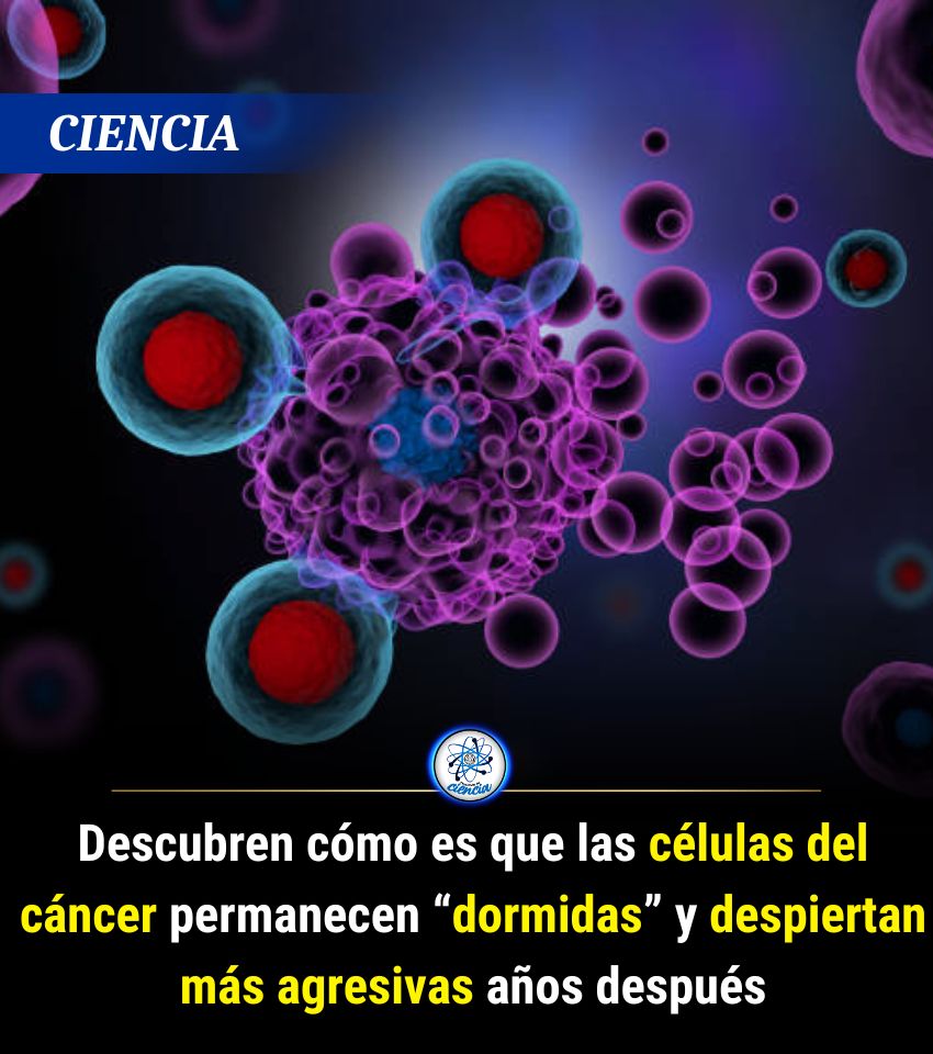 Enséñame de Ciencia tweet media