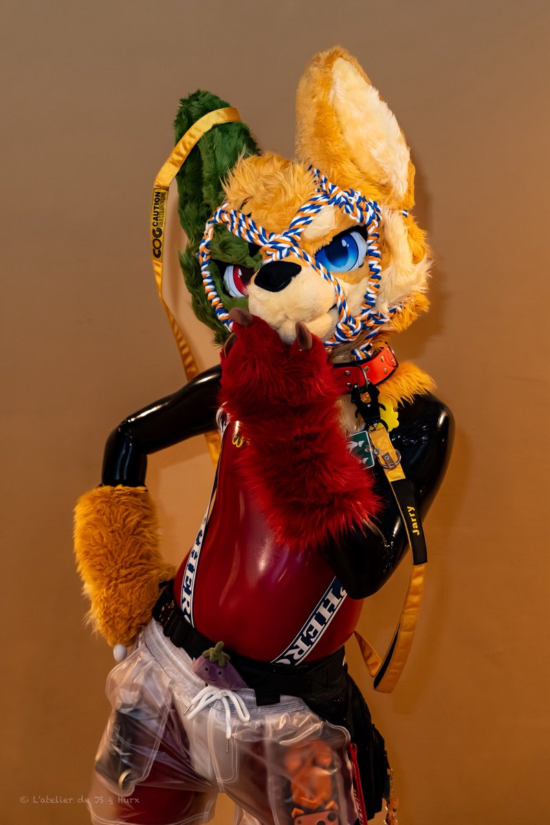 js_latelier's tweet photo. #ゴムの日

📷 @hurxhurx
#FursuitEveryday #LVFC2026 https://t.co/h2kzrWBysm