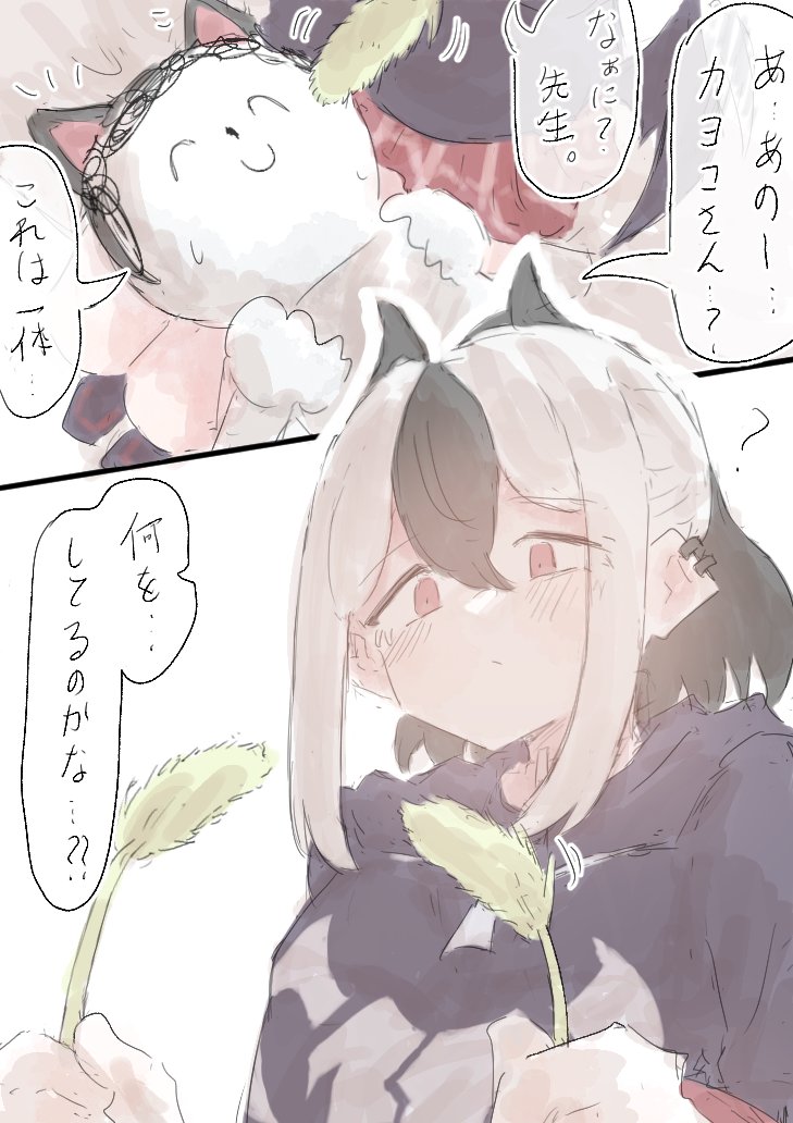 ねこ 