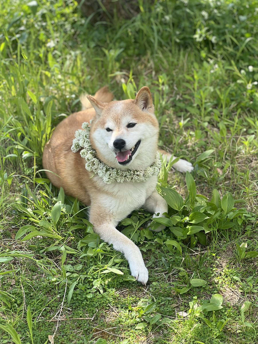 윰우 tweet media