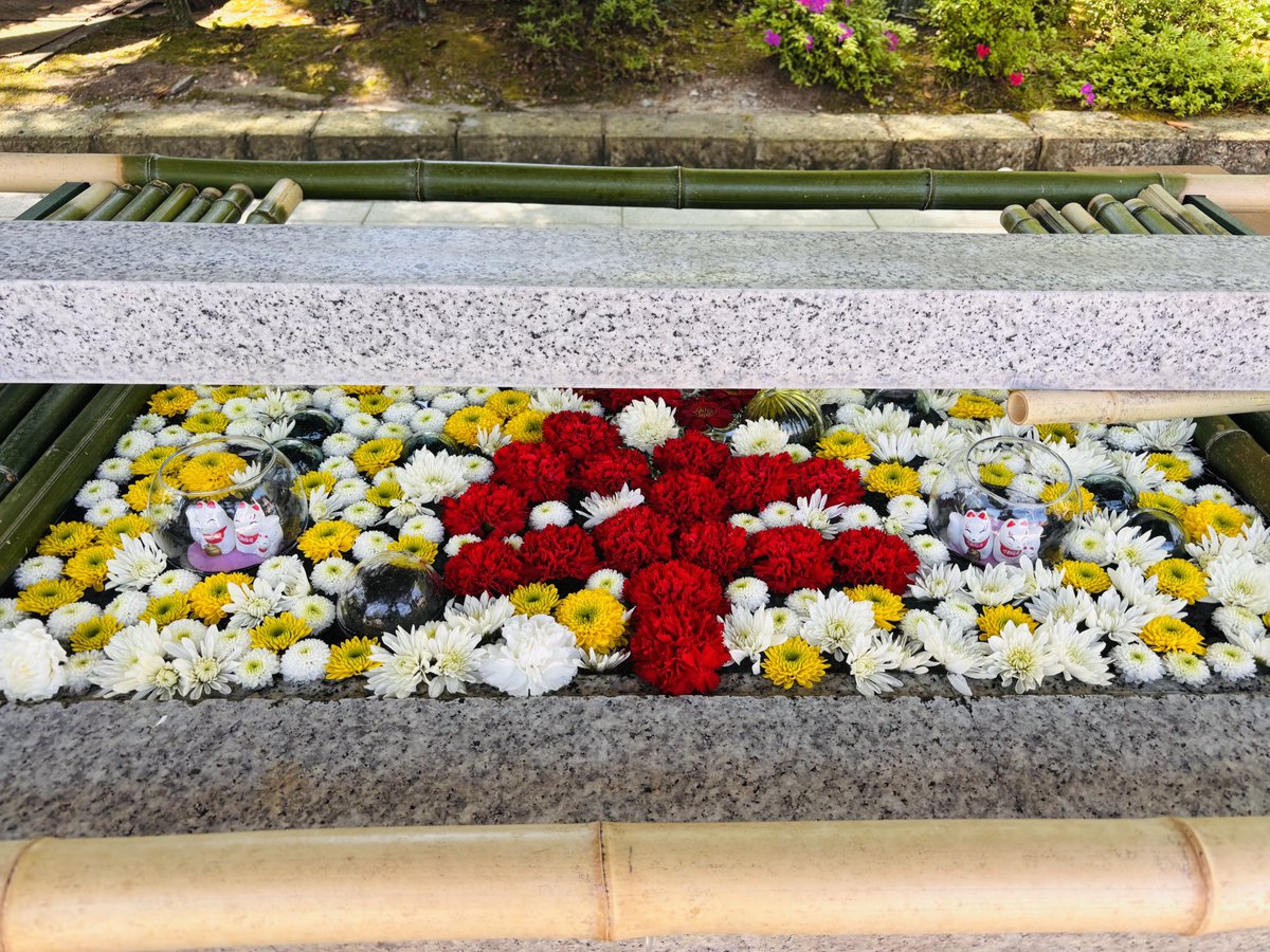 大安吉日 おはようございます☀ 昨日手水舎のお花を入れ替えましたので