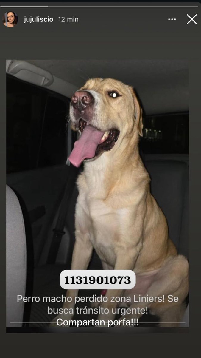 Hola chicas ! Me ayudan a difundir profa ? Zona liniers