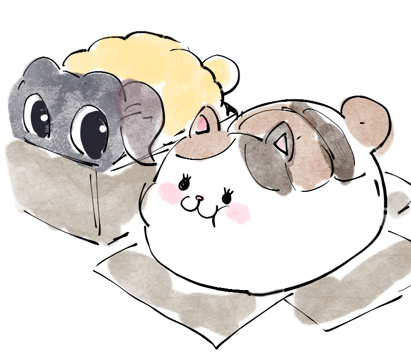 엑끼 tweet media