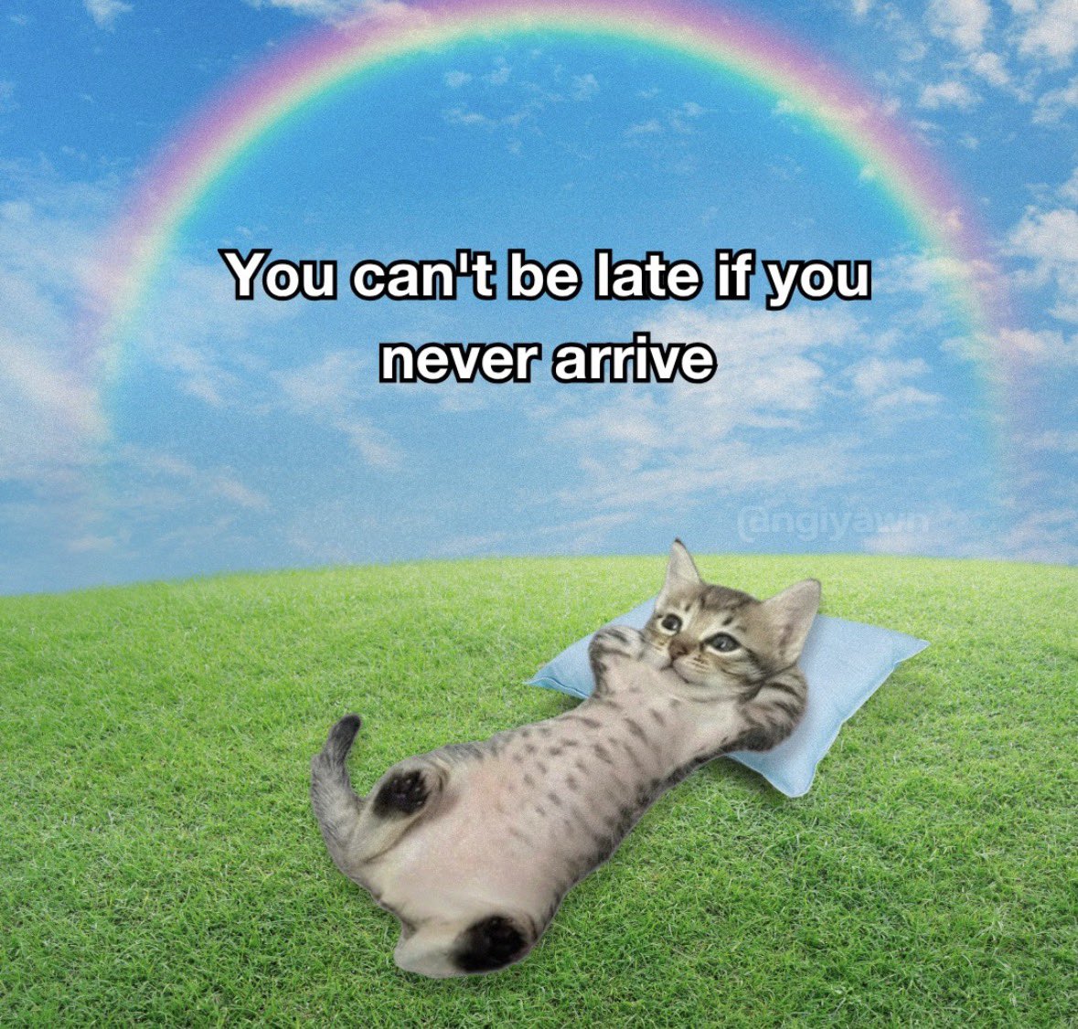 LiterallyMeCats (@literallymecats) on Twitter photo 