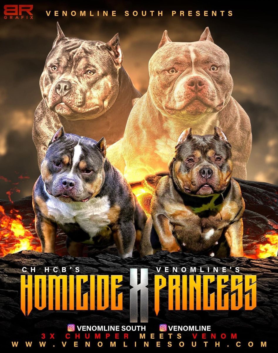 Venomline's tweet photo. Venomline Just Opened the Vault — Limited Puppy Price Drop - https://t.co/1f1QTCGN6F https://t.co/hsu8x4gfw8