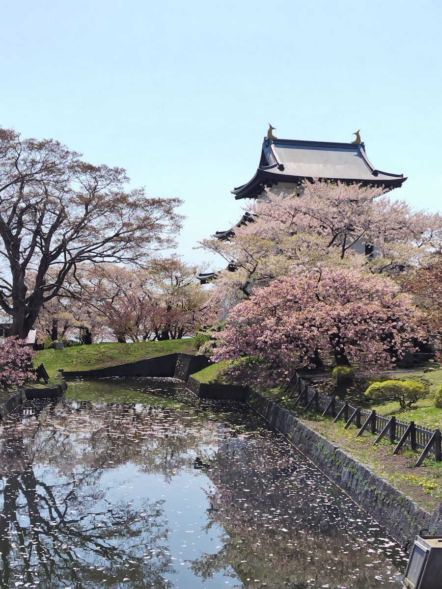 🌸ロスの皆さんへ①
(これは4月の終わり頃)
