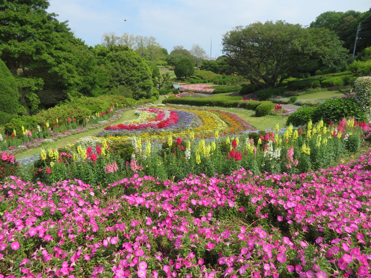 のこのしまアイランドパーク【公式】(能古島)(NokonoshimaIslandpark) tweet media