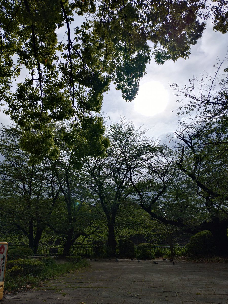 zonIKpFmte14908's tweet photo. お休みの方も、お仕事の方もお疲れ様です😊
GW中、私は改めて「受ける」と「学ぶ」の往復✨️
セミナーで、講師としての視点を学び、自ら施術を受けてお客様の心にふれる✨️
日差しに負けない熱量で、皆様が心良く連休明けを迎えられます様に、本日もお待ちしております☺️
#体感連動 #肘圧 #147cm https://t.co/vZDSgHQnnz