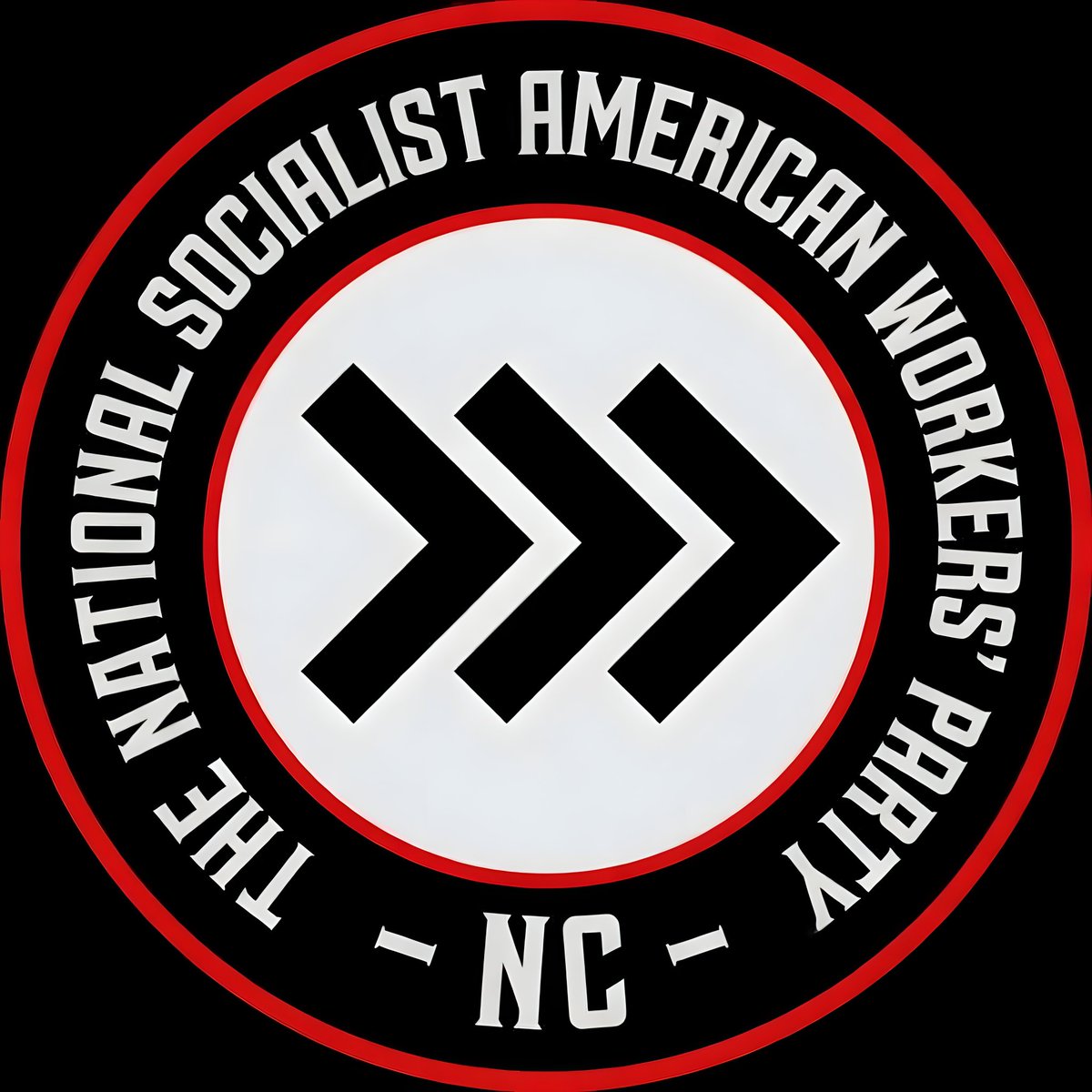 National Socialist American Workers' Party (NC) tweet media