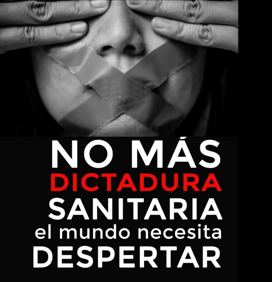 Patriota!! tweet media