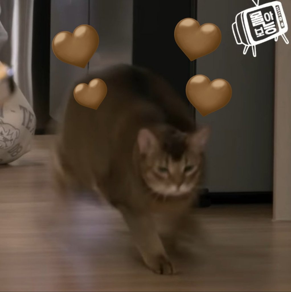 ꒰𝙂𝙐𝙈𝙈𝙔 𝙇𝙀𝙀꒱ tweet media