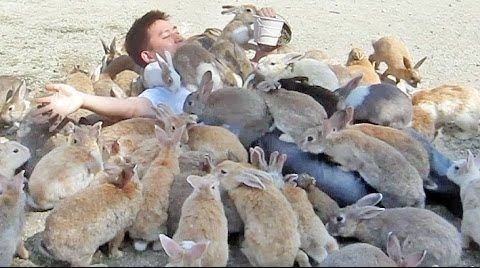 Megumi subconsciously summoning a bunny everytime he has a nightmare so Megumi just wakes up like this