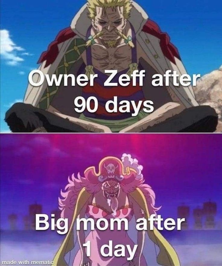 One Piece Daily tweet media