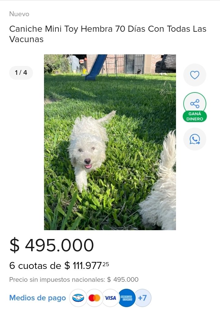 Que mierda tiraba el kukaracho esquizofrénico delincuente jajajaja.