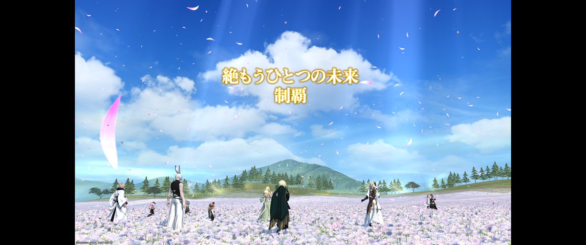 せり@Shinryu tweet media