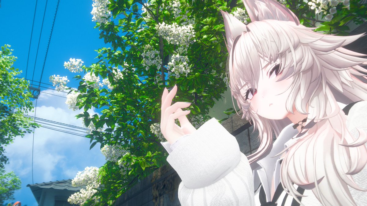 Nill|にる tweet media
