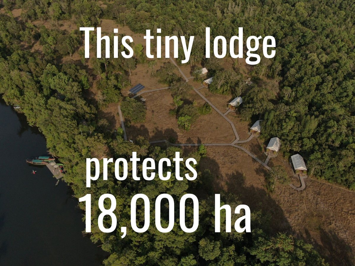 GoodTourism's tweet photo. @cardamomtent in #Cambodia has released its ‘2025 Impact Report’, highlighting progress in #rainforest protection, #wildlife monitoring, and #community engagement through its #travel &amp; #tourism-led #conservation model.

"#GoodTourism"

https://t.co/F2Ag78QhfO https://t.co/7IJ1qg1V0h