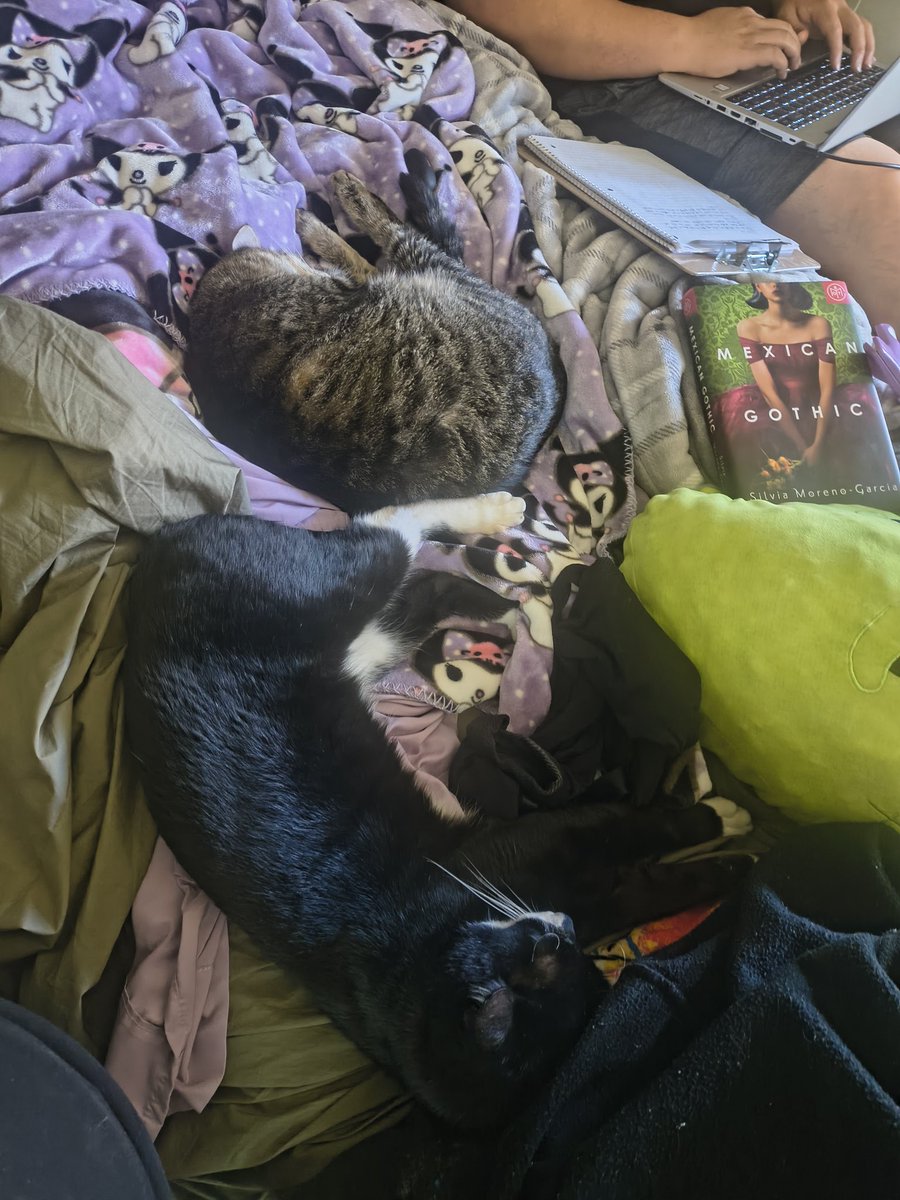 AmethystAlchemi's tweet photo. @tru_fru They usually hate each other but had no idea they were touching in their sleep 😂 https://t.co/vdoePcKzsB