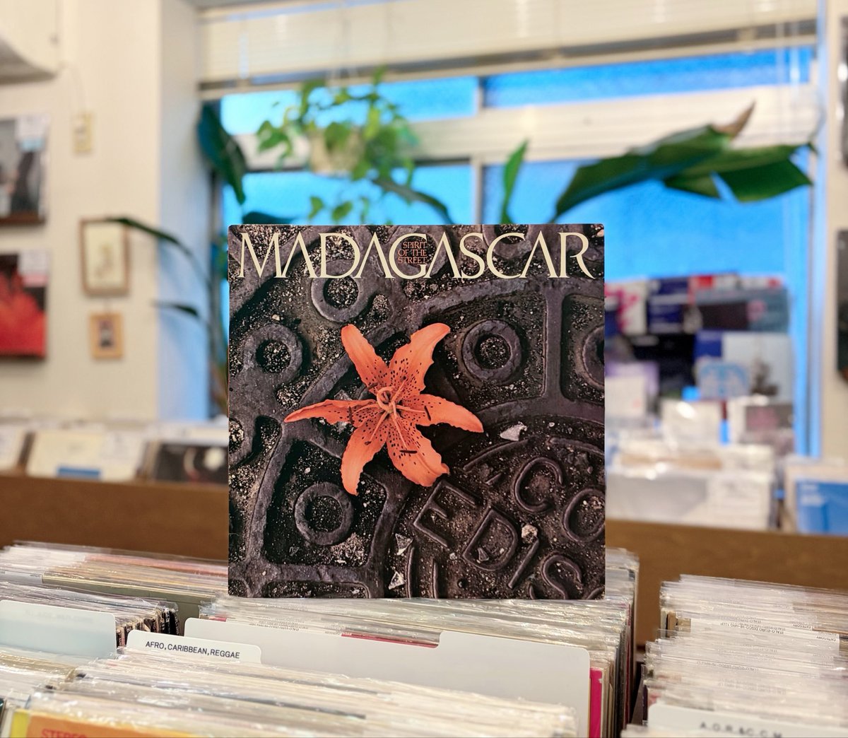 Post by 【大阪】レコード高価買取 & 海外買付□レコードショップ rare