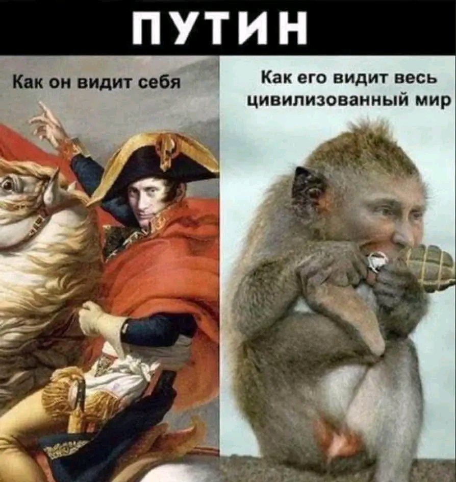 LugerKrasnov's tweet photo. @sasha_sotnik https://t.co/uK83WOuttv