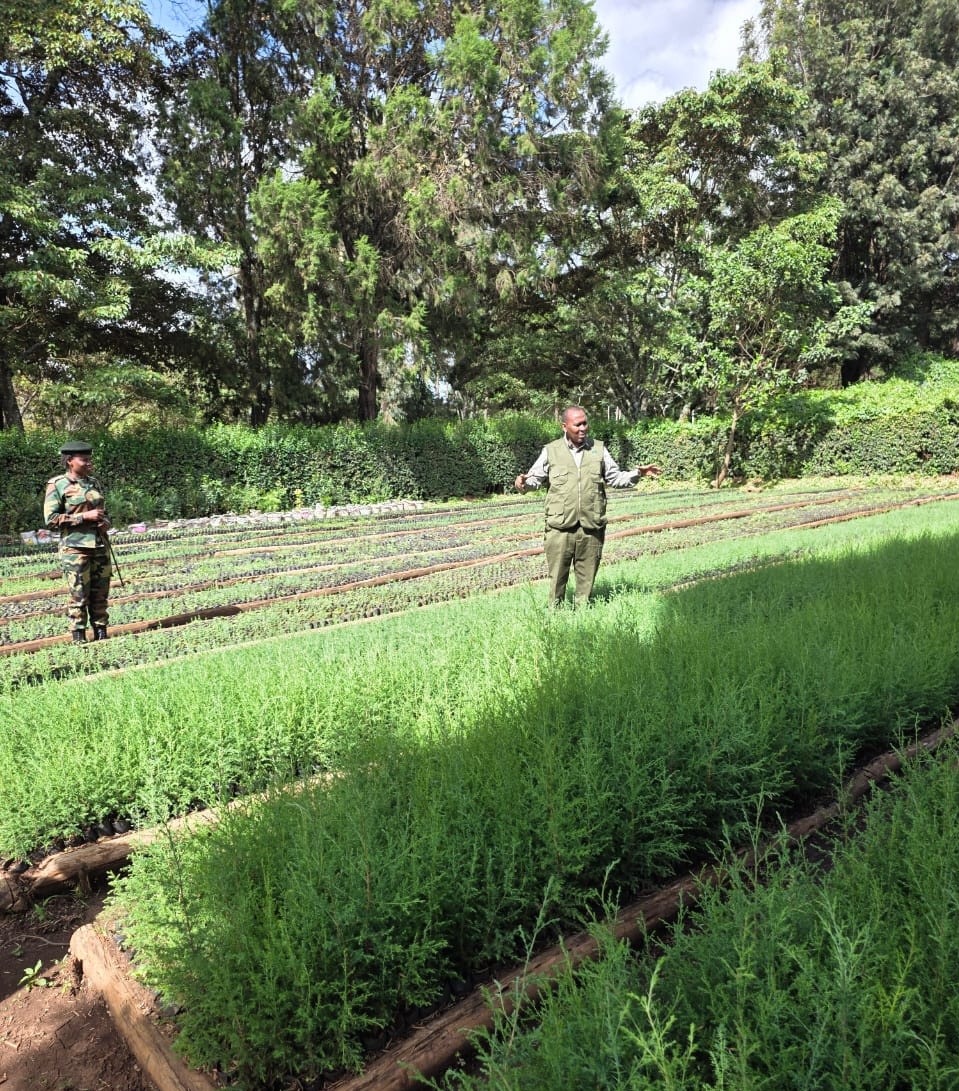 Kenya Forest Service tweet media