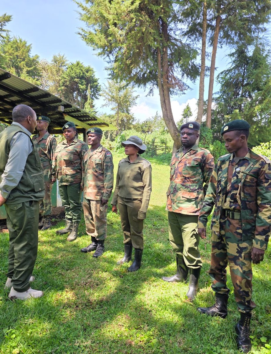 Kenya Forest Service tweet media