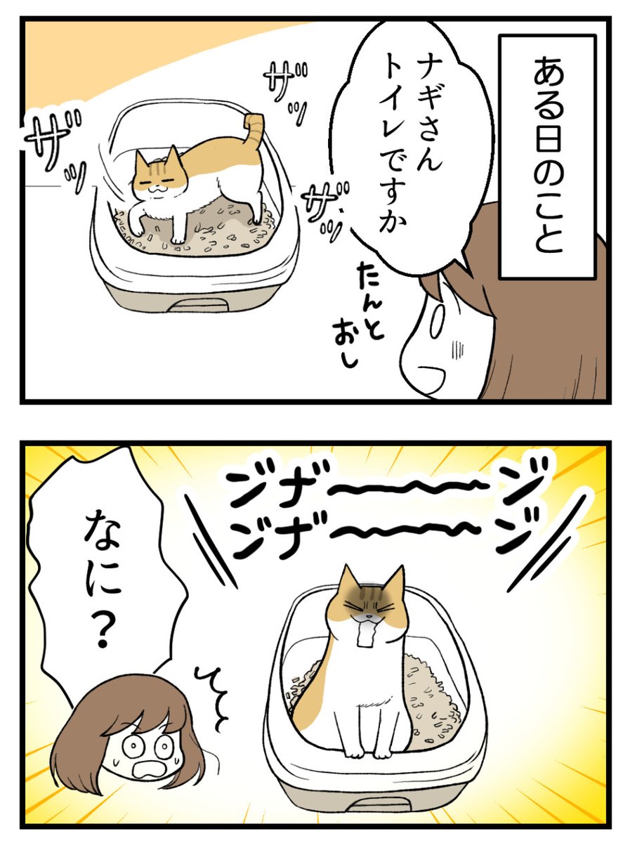猫がトイレで鳴く理由(1/2) 