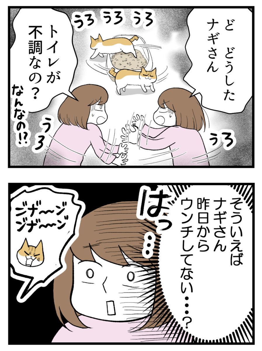 (2/2)明日に続きます! 