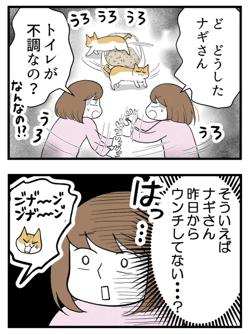 (2/2)明日に続きます! 