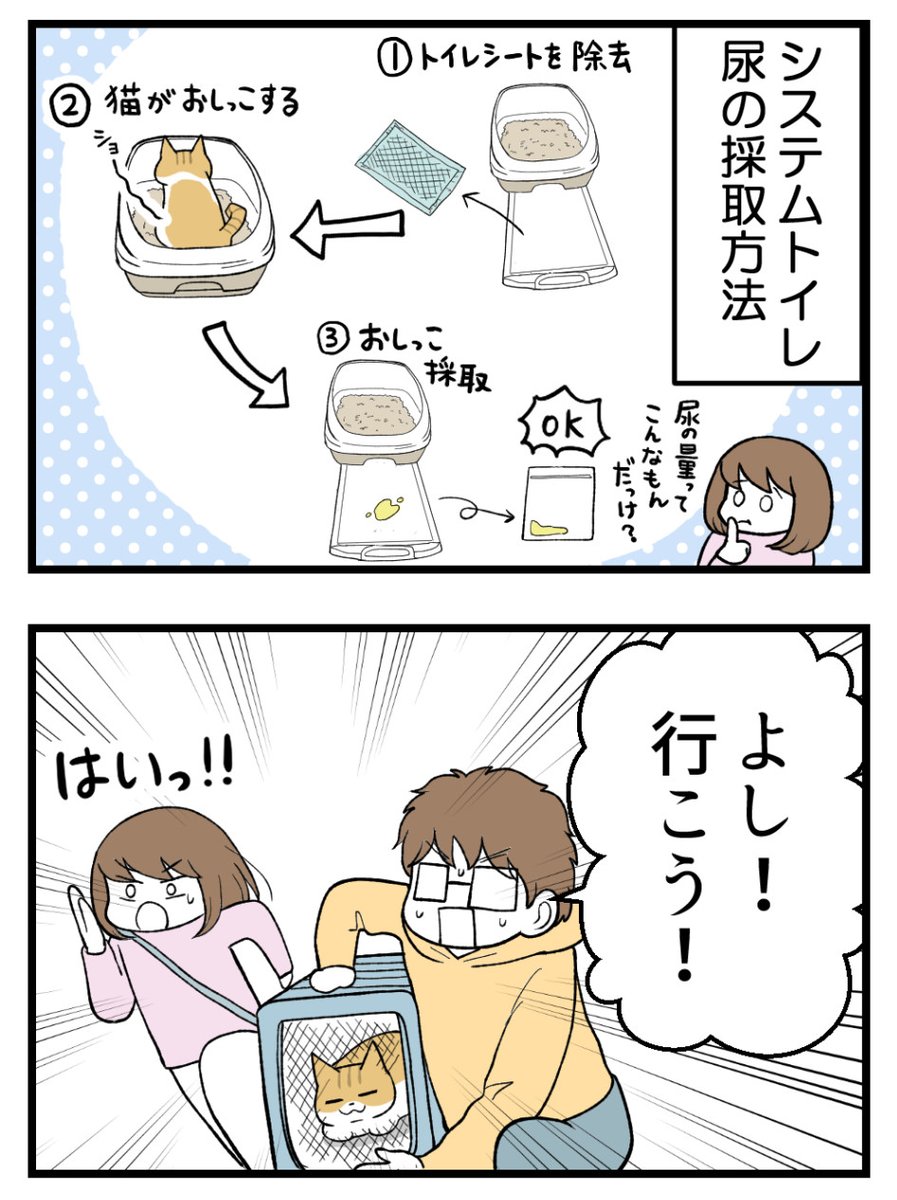 (2/2)明日に続きます! 