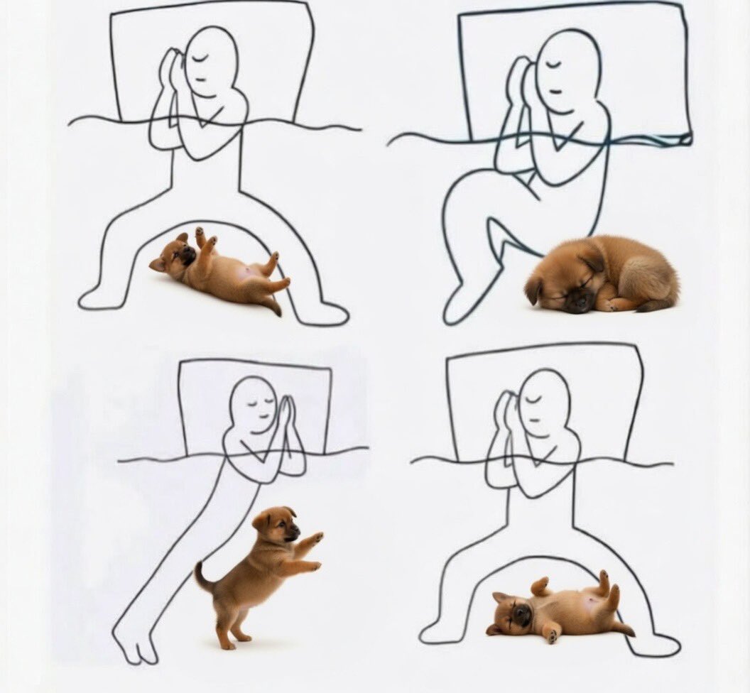 Tener un perrito es renunciar por completo a tu espacio personal.