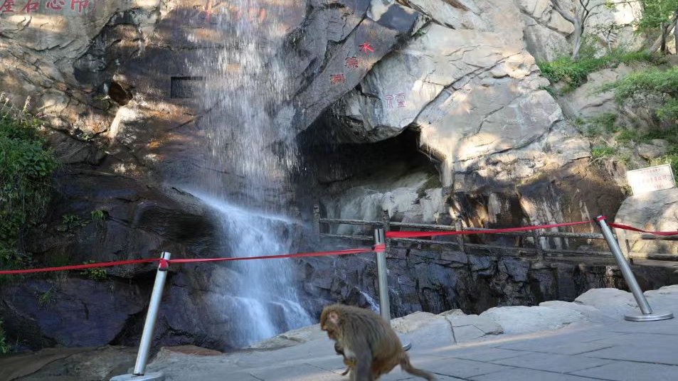 Monkey King’s Hometown - Lianyungang tweet media