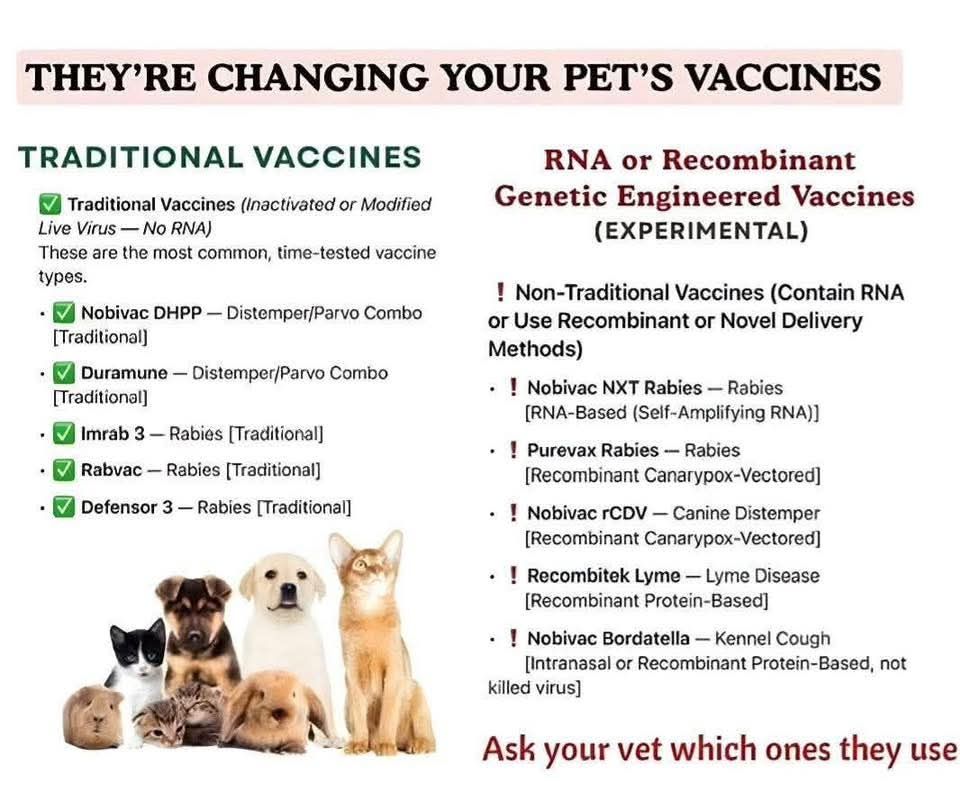 NWO__sucks's tweet photo. @DiedSuddenly_ If your pet has to get a jab, ask for the traditional jabs, NOT mRNA. They are EXPERIMENTAL...
Traditionals: #NobivacDHPP #Imrab #Duramune #Rabvac #Defensor3 https://t.co/FJVdYJP2vo