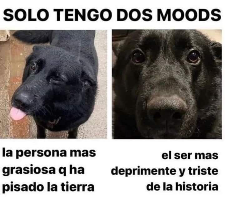 Alejo tweet media