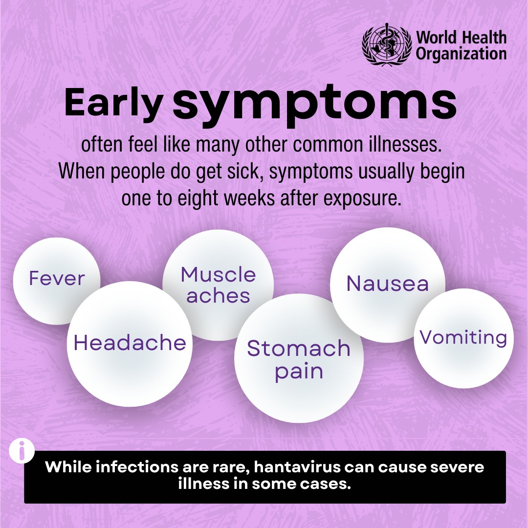WHOLesotho's tweet photo. Hantaviruses are zoonotic viruses that naturally infect rodents and can occasionally spread to people.

Here’s what you need to know: what they are, how they spread, the symptoms, and how to prevent infection. 🔗 https://t.co/myR3NThrGB https://t.co/GZbiYksv0V