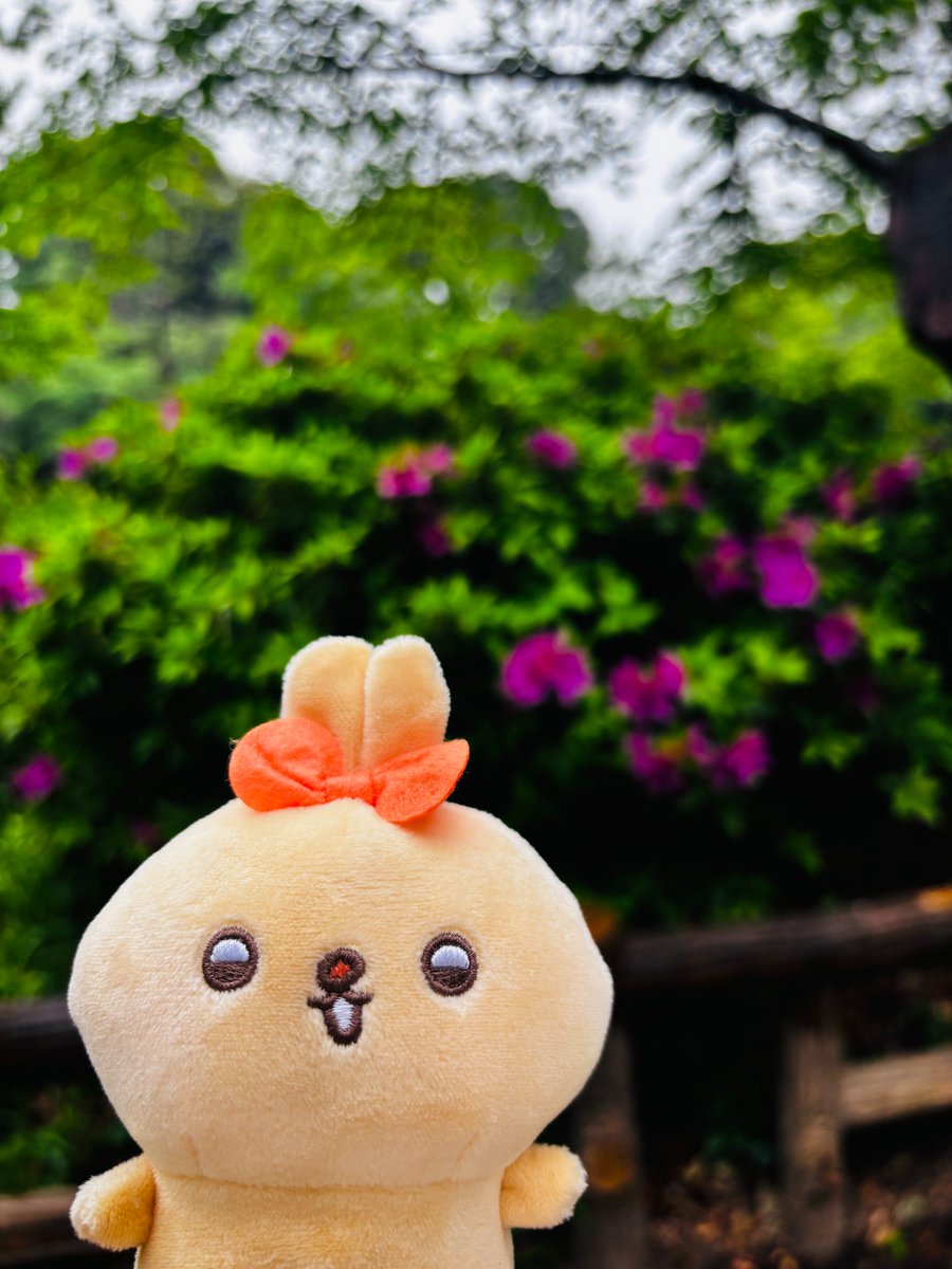 ♡ラブリーちゃん♡ (@lovely_chan_33) / Posts / X