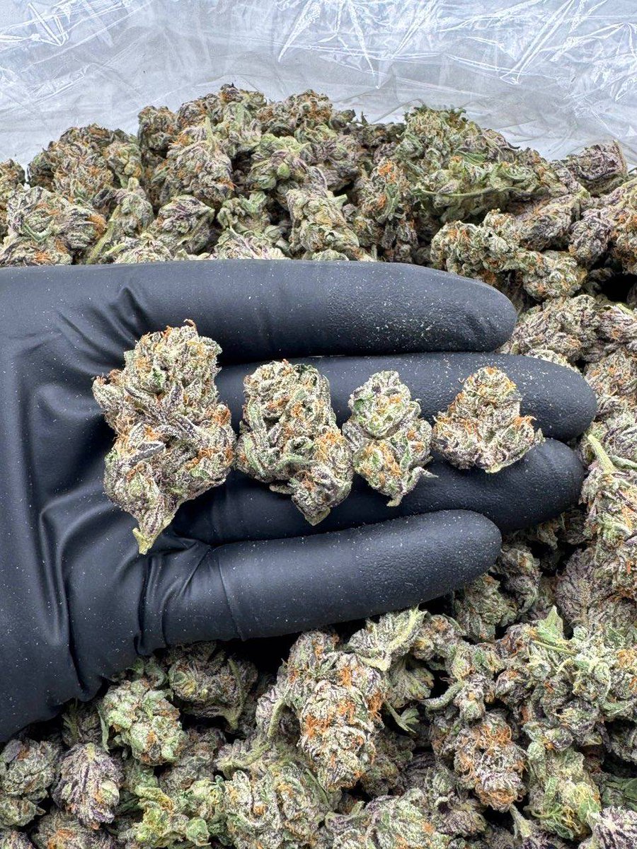 Galwayplug's tweet photo. Weed Oranmore, Weed Barna, Weed Moycullen, Weed Spiddal, Weed Athenry, Weed Loughrea, Weed Gort, Weed Clarinbridge, Weed Oughterard, Weed Headford. https://t.co/aPnOUbsukj