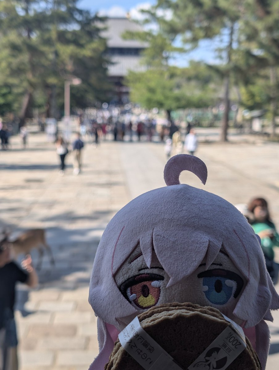 Asura (あしゅら) ←→↑↓ tweet media