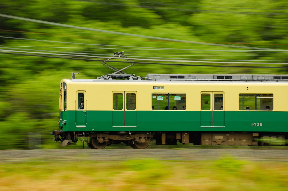 いすずがわ tweet media