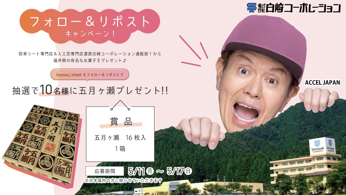 白崎コーポレーション通販部! tweet media