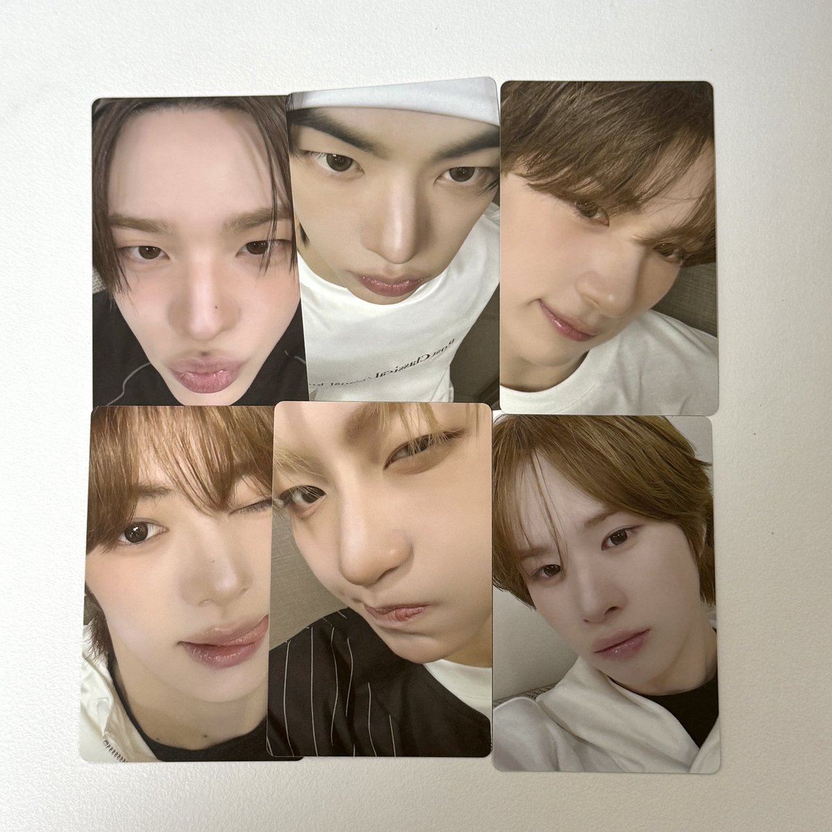 뽀 tweet media