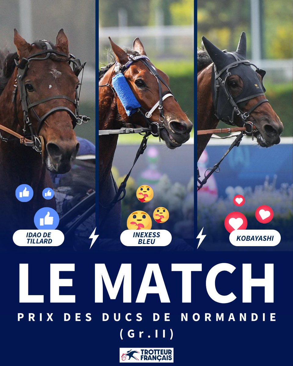 Trotteur Français tweet media